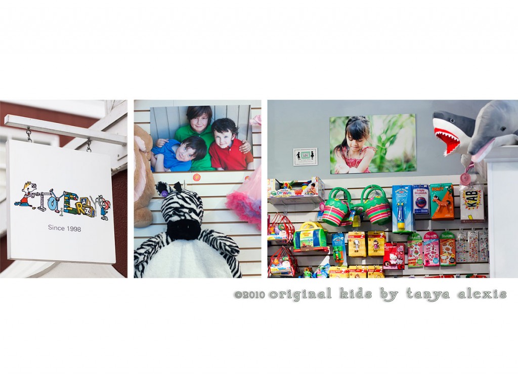 Toy Crazy Brentwood Country Mart Display! Brentwood Children's